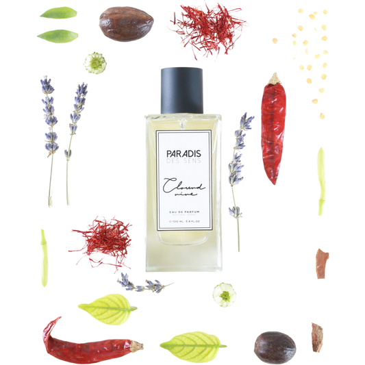 CLOUD NINE EDP 100ML