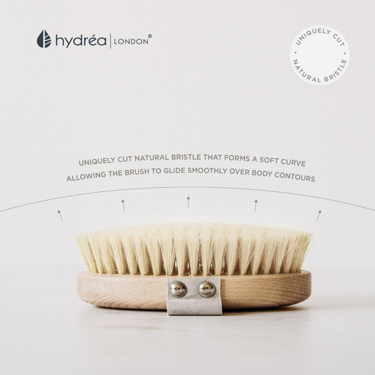 Professional Dry Skin Brush/Cactus Bristles Curved FSC 100% | Hydréa London