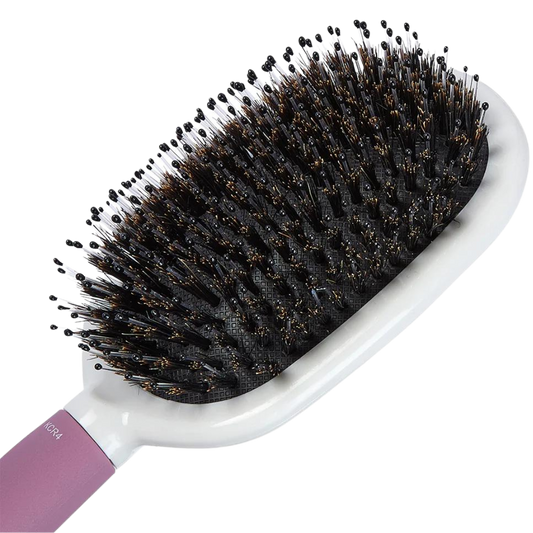 Small Porcupine Paddle Hairbrush Kcr4  | GB Kent